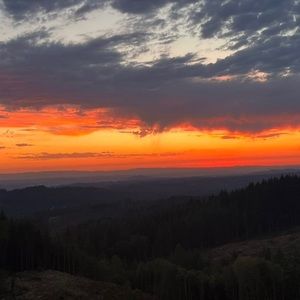 Meet your Posher, JJ